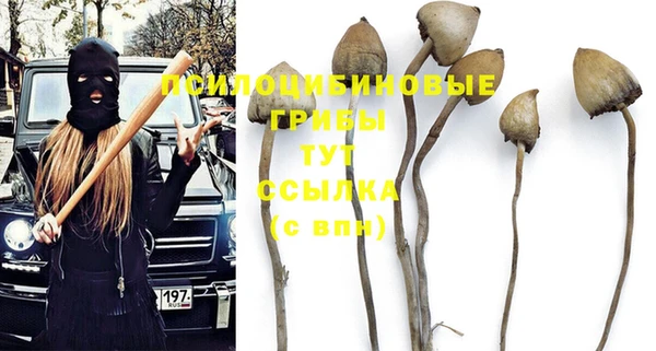 таблы Алзамай