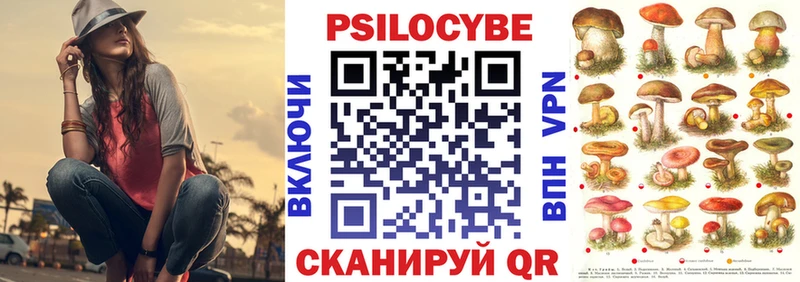 Купить где  Сорск  Галлюциногенные грибы мицелий 